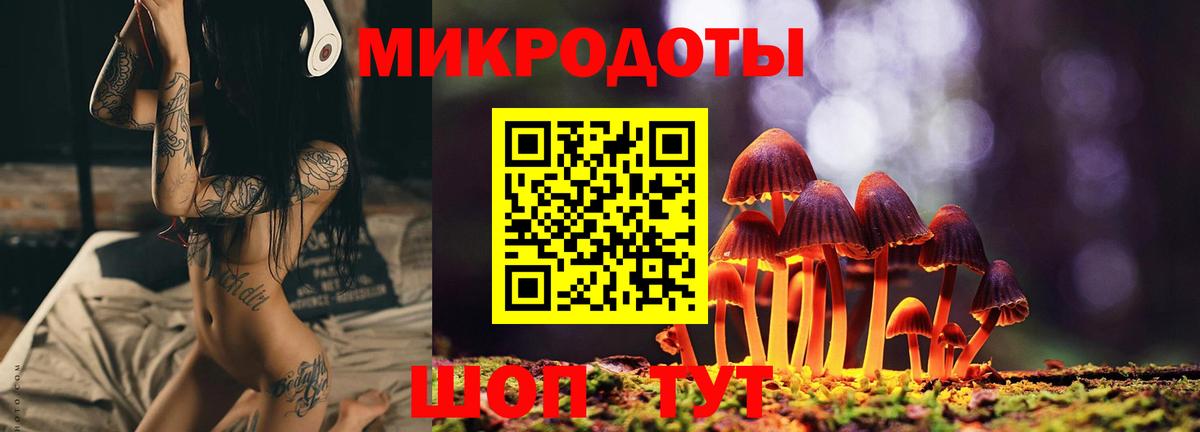 Псилоцибиновые грибы MAGIC MUSHROOMS  Вход с VPN  Нижнеудинск 